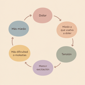 Ciclo entre dolor, miedo, tensión, menor excitación y más molestias durante las relaciones sexuales